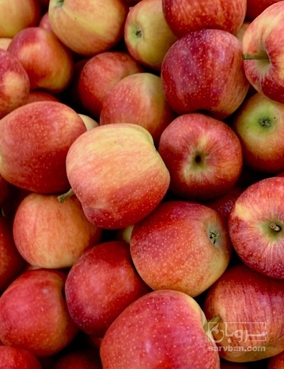 فروش سیب قرمز