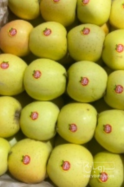 فروش سیب زرد