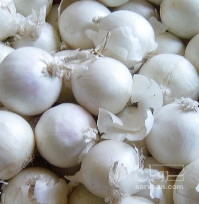 فروش پیاز سفید