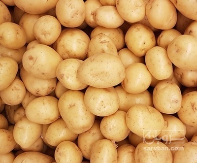 فروش سیب زمینی