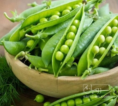 فروش نخود فرنگی