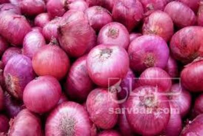 فروش پیازقرمز
