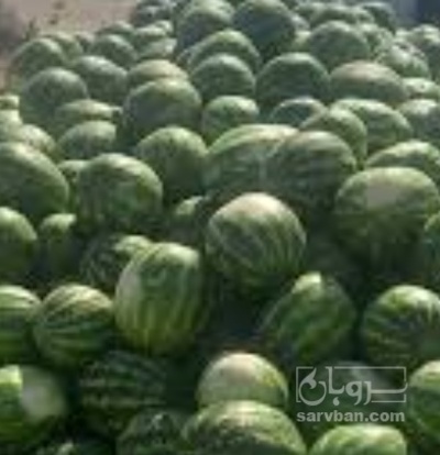 فروش هندوانه