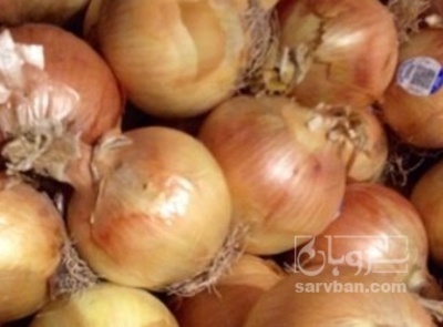 فروش پیاز زرد