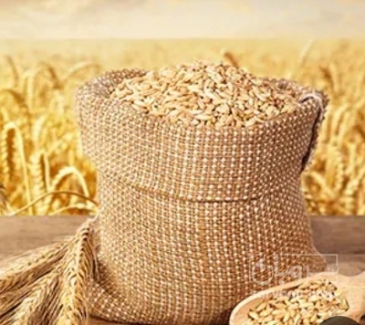 فروش گندم