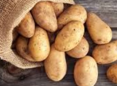 فروش سیب زمینی جلی