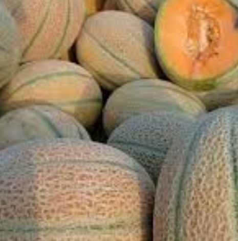 فروش طالبی جانا