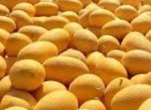 فروش خربزه راک