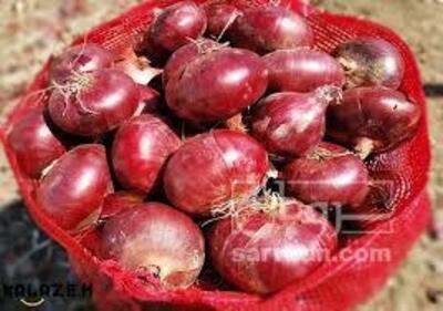 فروش پیازقرمز