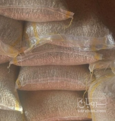 فروش تخمه  کدو بو داده