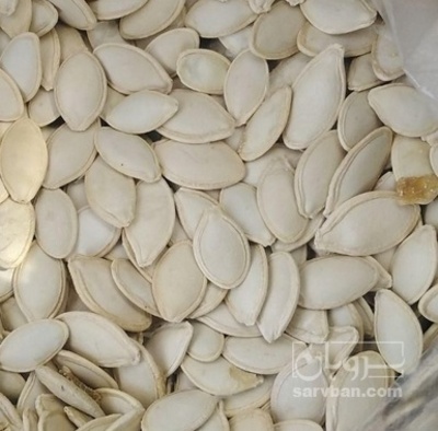 فروش تخمه  کدو بو داده