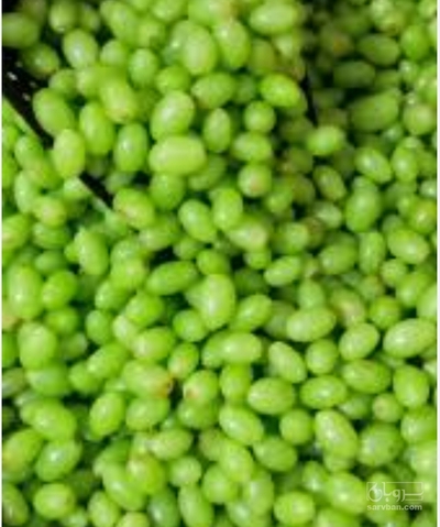 فروش غوره