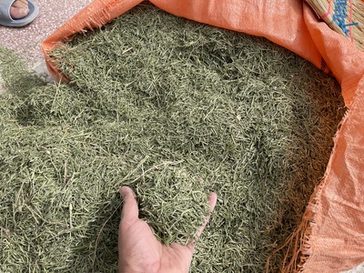 فروش رزماری (گیاه‌ دارویی)