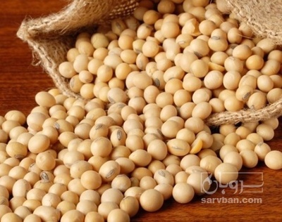 فروش سویا