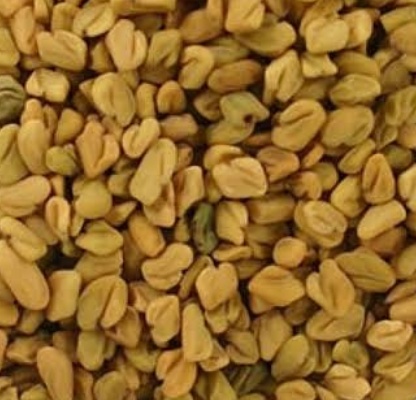 فروش بذر شنبلیله