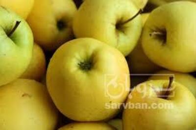 فروش سیب زرد