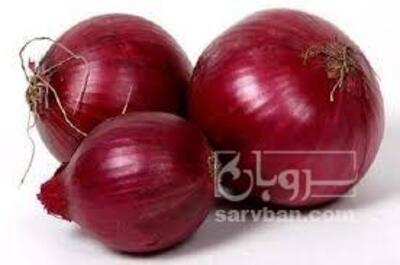 فروش پیازقرمز