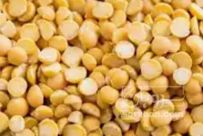 فروش نخود کفتری - لپه