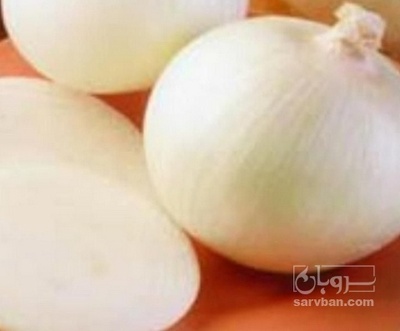 فروش پیاز پوست کنده | سروبان