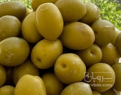 فروش زیتون با هسته