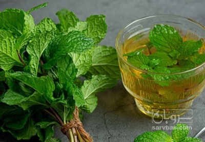 فروش عرق نعناع بی رنگ