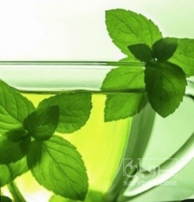 فروش عرق نعناع سبز