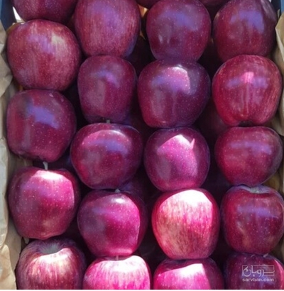 فروش سیب قرمز