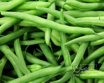 فروش لوبیا سبز