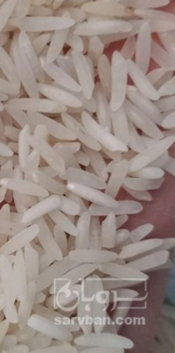 فروش برنج