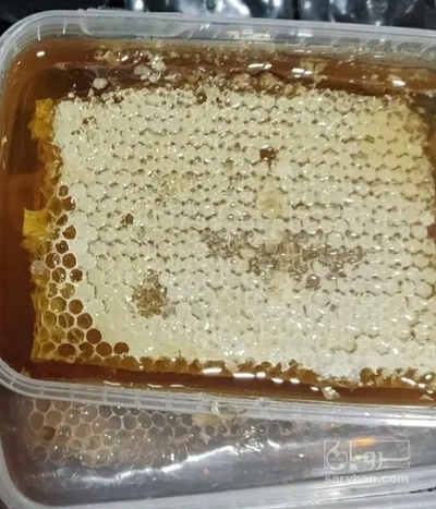 فروش عسل با موم