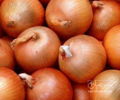 فروش پیاز زرد | سروبان