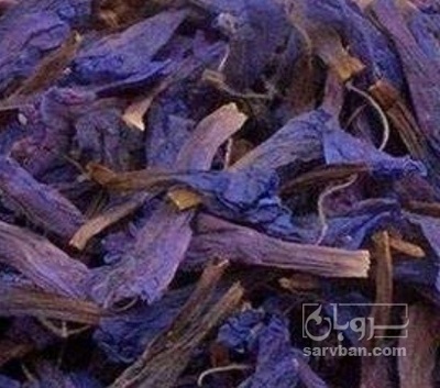 فروش گل گاو زبان - گاوزبان (گیاه‌ دارویی)