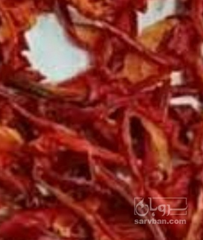 فروش فلفل پاپریکا