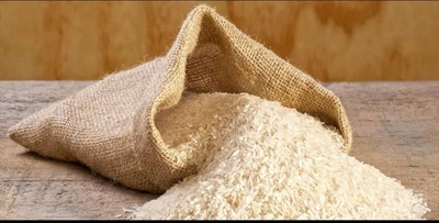 فروش برنج طارم هاشمی