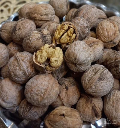 فروش گردو
