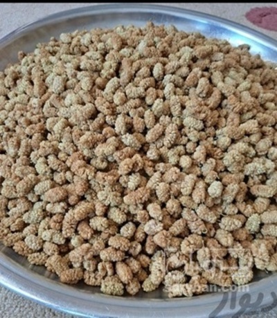 فروش توت خشک یزد