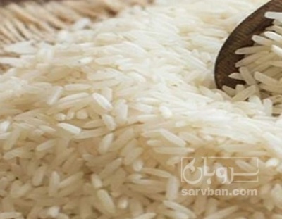 فروش برنج عنبر بو | سروبان