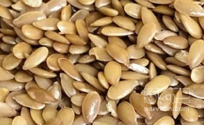 فروش کتان (گیاه الیافی)