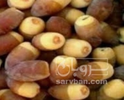فروش خرما رطبی