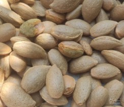 فروش بادام سنگی