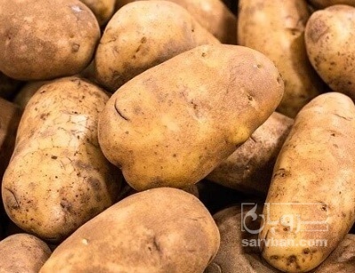 فروش سیب زمینی