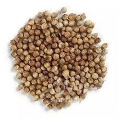 فروش منداب (گیاه‌ دارویی)