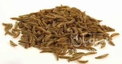 فروش زیره (گیاه‌ دارویی)