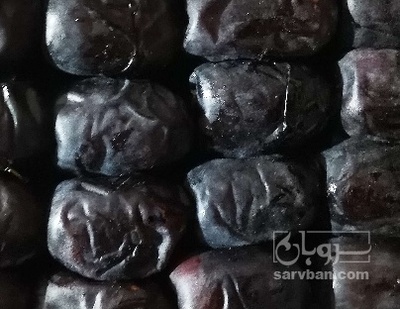 فروش خرما مضافتی