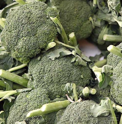 فروش کلم بروکلی