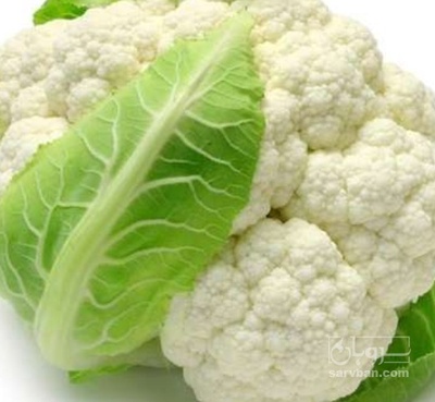 فروش گل کلم سبدی