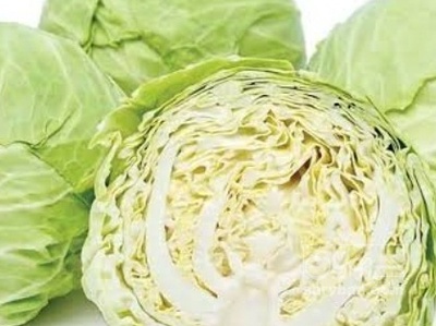 فروش کلم برگی سفید