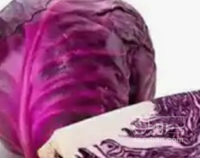 فروش کلم برگی بنفش