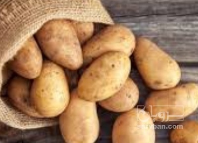 فروش سیب زمینی