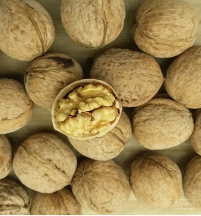 فروش گردو